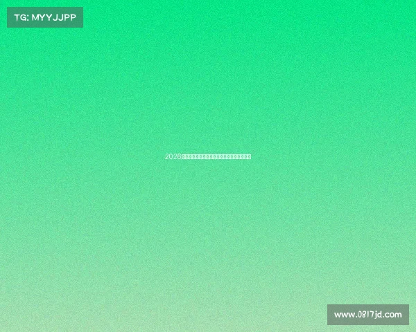 2026世界杯精彩瞬间汇聚赛场激情与球迷狂欢盛景